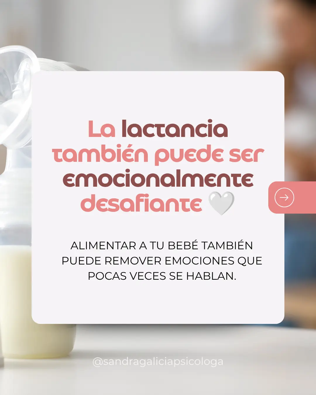 Contenido de Sandra Galicia