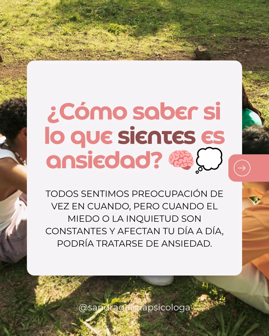 Contenido de Sandra Galicia